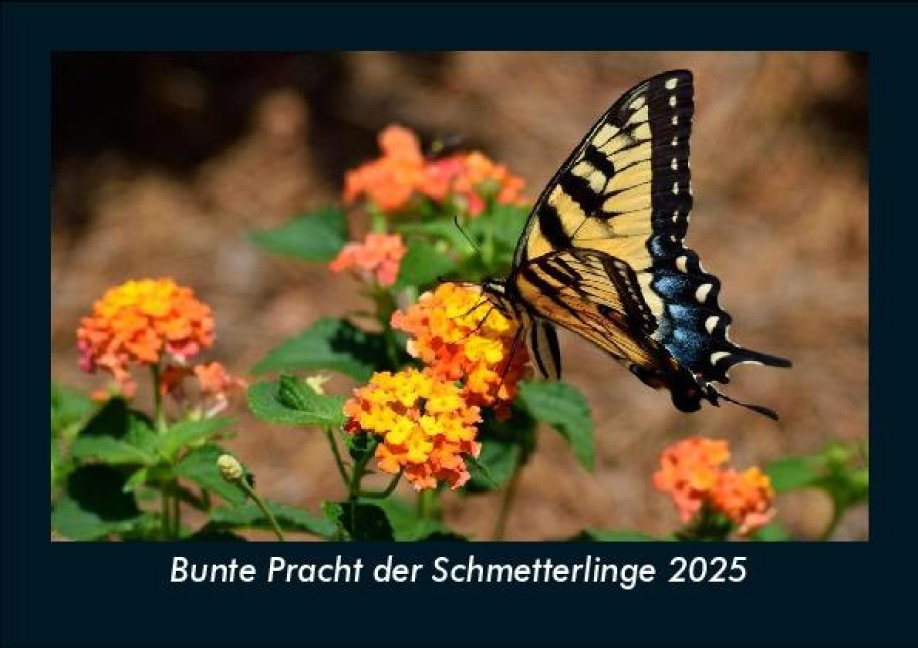 Bunte Pracht der Schmetterlinge 2025 Fotokalender DIN A5 - Tobias Becker