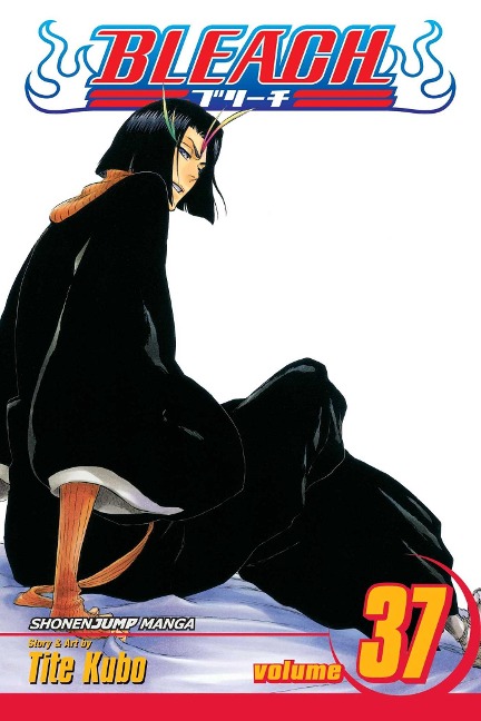 Bleach, Vol. 37 - Tite Kubo