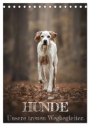 Hunde - Unsere treuen Wegbegleiter. (Tischkalender 2026 DIN A5 hoch), CALVENDO Monatskalender - Tierfotografie Andreas Kossmann
