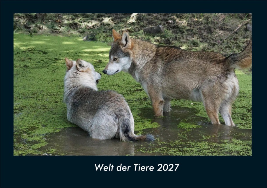 Welt der Tiere 2027 Fotokalender DIN A4 - Tobias Schmitt, Kevin Heber