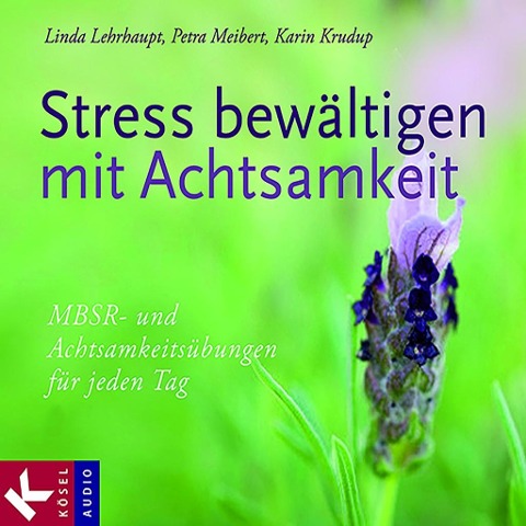 Stress bewältigen mit Achtsamkeit - Karin Krudup, Linda Lehrhaupt, Petra Meibert
