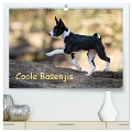 Coole Basenjis (hochwertiger Premium Wandkalender 2025 DIN A2 quer), Kunstdruck in Hochglanz - Angelika Joswig