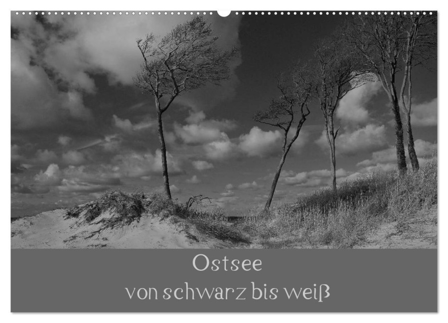 Ostsee - von schwarz bis weiß (Wandkalender 2025 DIN A2 quer), CALVENDO Monatskalender - Uwe Becker