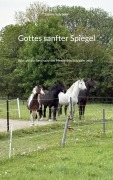 Cover-Bild zum Titel 'Gottes sanfter Spiegel' von 'Sabine Schröder'