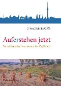 Auferstehen jetzt - Josef Schulte