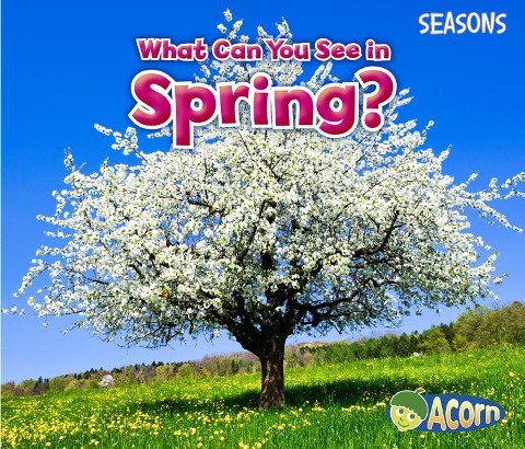 What Can You See in Spring? - Sian Smith