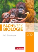 Cover-Bild zum Titel 'Fachwerk Biologie 9./10. Schuljahr - Berlin/Brandenburg - Schülerbuch' von 'Udo Hampl, Lysann Tessendorf, Adria Wehser, Anke Pohlmann, Josef Johannes Zitzmann'