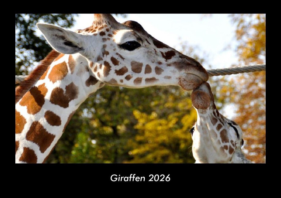 Giraffen 2026 Fotokalender DIN A3 - Tobias Becker