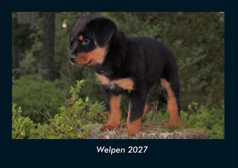 Welpen 2027 Fotokalender DIN A4 - Kevin Heber, Tobias Schmitt