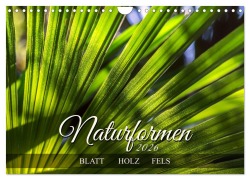 Cover-Bild zum Titel 'Naturformen, Blatt, Holz, Fels (Wandkalender 2026 DIN A4 quer), CALVENDO Monatskalender' von 'Werner Braun'