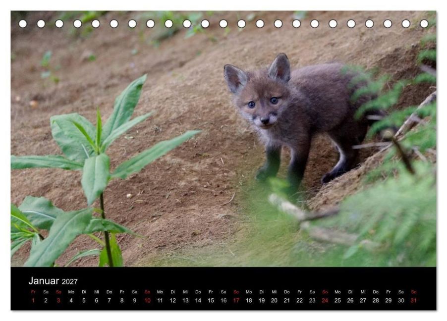 InsideView 6