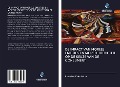Cover-Bild zum Titel 'DE IMPACT VAN MORELE EMOTIES EN MORELE IDENTITEIT OP DE KEUZE VAN DE CONSUMENT' von 'Rusudan Kokoladze'