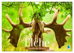 Cover-Bild zum Titel 'Elche: Nordische Riesen (Wandkalender 2027 DIN A4 quer), CALVENDO Monatskalender' von 'Calvendo'