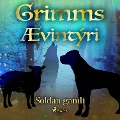 Cover-Bild zum Titel 'Sóldán gamli' von 'Grimmsbræður'