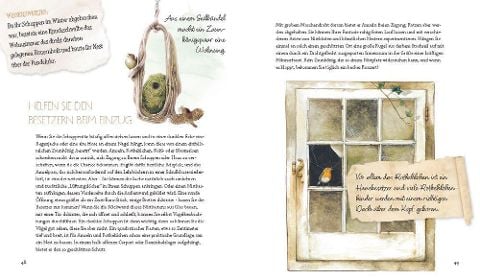 InsideView 10