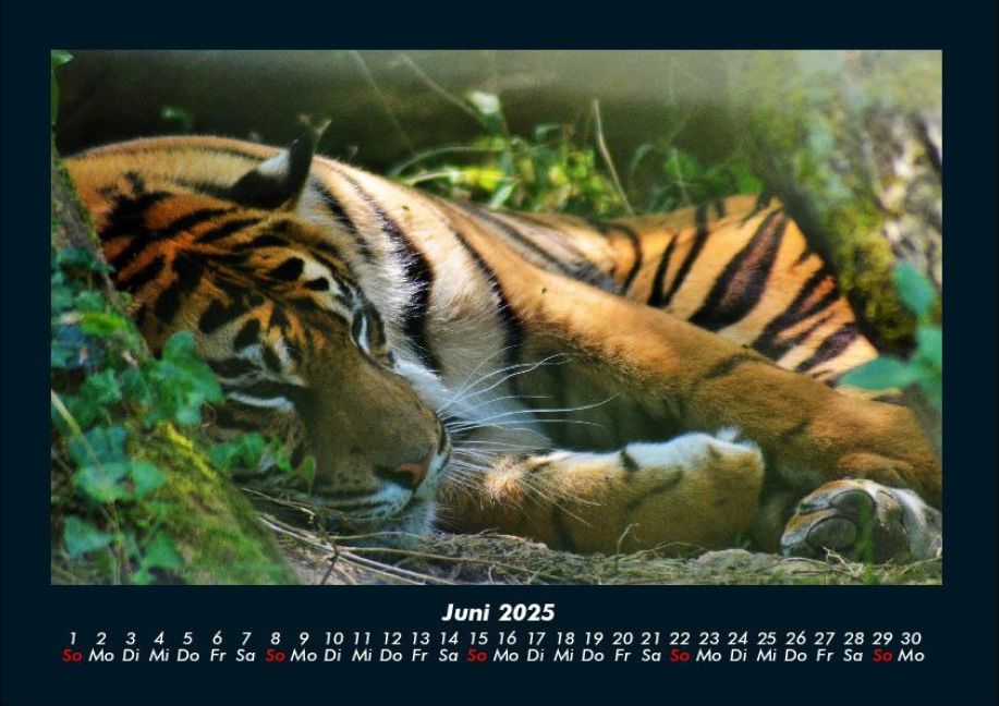 InsideView 10