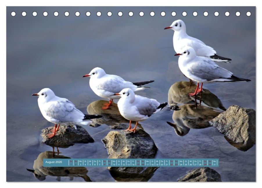InsideView 13