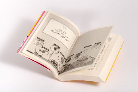 InsideView 4
