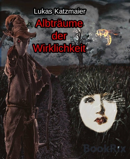 Albträume der Wirklichkeit - Lukas Katzmaier