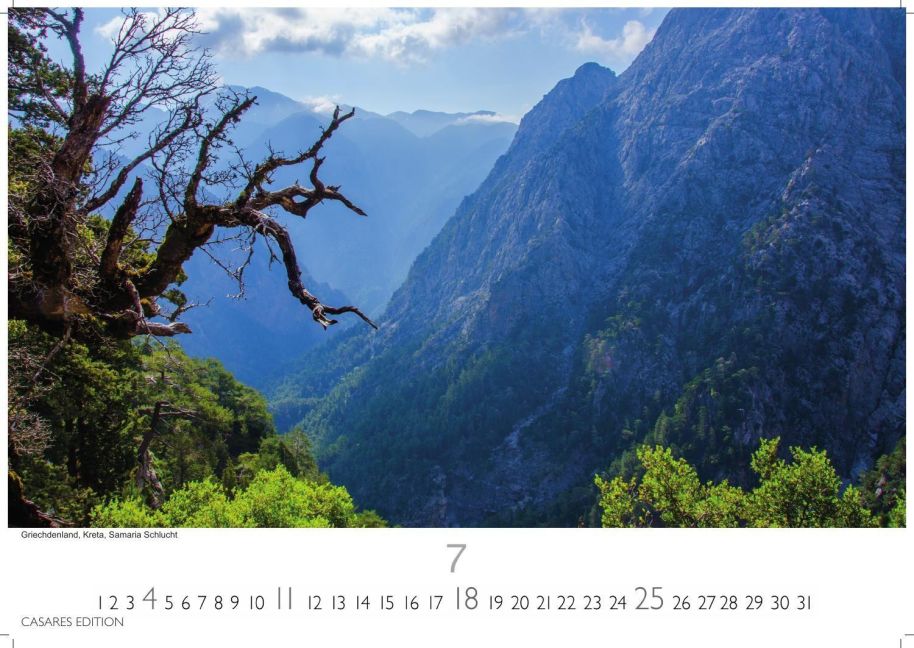 InsideView 7