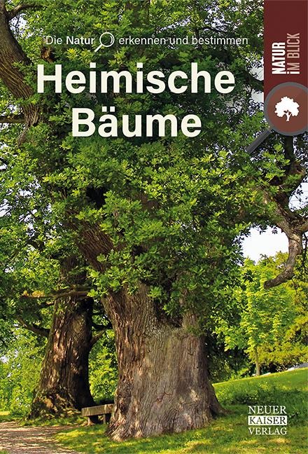 Bäume - 