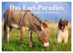 Das Esel-Paradies - Hunde und andere Feunde (Wandkalender 2026 DIN A3 quer), CALVENDO Monatskalender - Elisabeth Stanzer