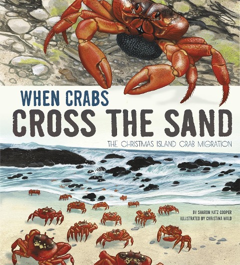 When Crabs Cross the Sand - Sharon Katz Cooper