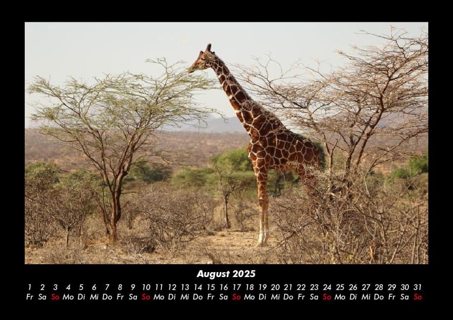 InsideView 12