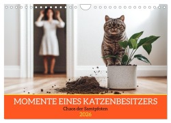 Cover-Bild zum Titel 'Momente eines Katzenbesitzers - Chaos der Samtpfoten (Wandkalender 2026 DIN A4 quer), CALVENDO Monatskalender' von 'Mb Fotografie'