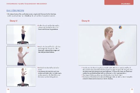InsideView 6