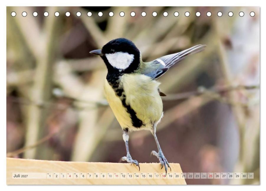 InsideView 12