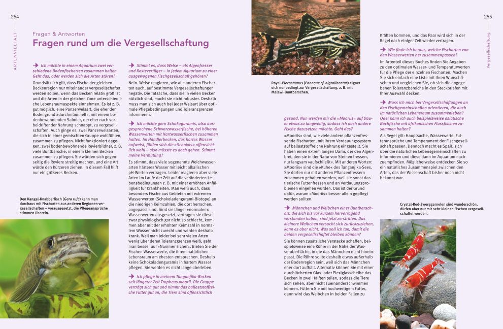 InsideView 10