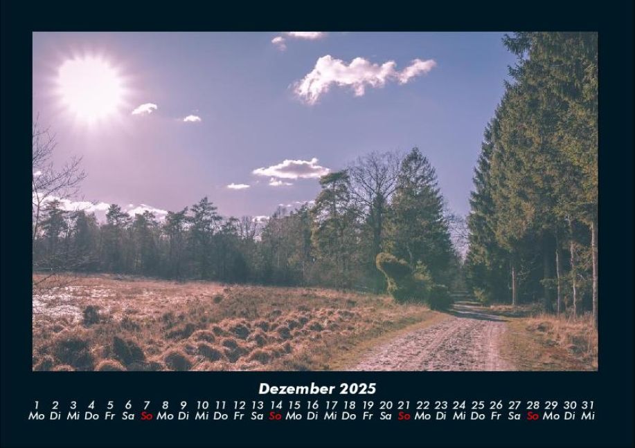 InsideView 4