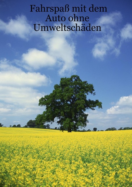 Fahrspaß mit dem Auto ohne Umweltschäden - Siegfried Schwarz
