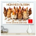 Hühner Alarm (hochwertiger Premium Wandkalender 2025 DIN A2 quer), Kunstdruck in Hochglanz - Peter Roder