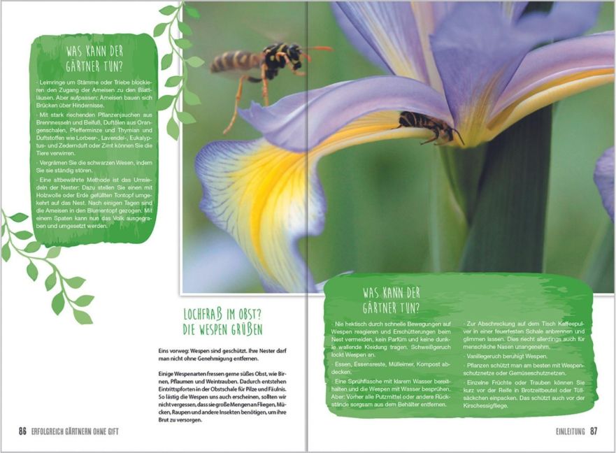 InsideView 5