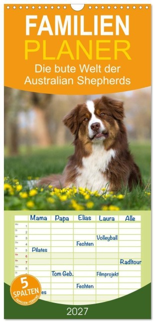 Familienplaner 2027 - DIE BUNTE WELT DER AUSTRALIAN SHEPHERDS mit 5 Spalten (Wandkalender, 21 x 45 cm) CALVENDO - Annett Mirsberger Tierpfoto