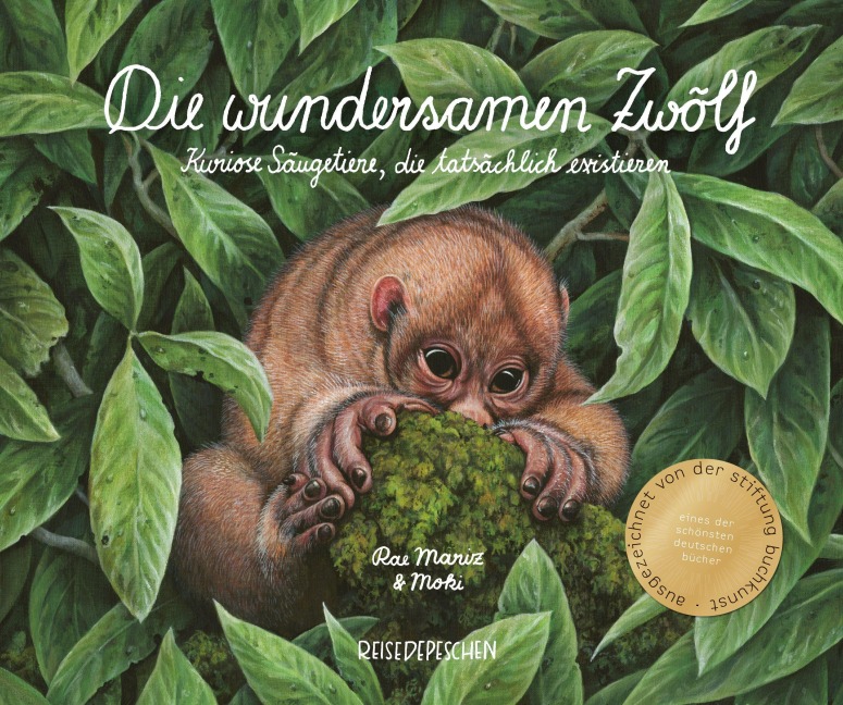 Die wundersamen Zwölf - Rae Mariz, Reisedepeschen