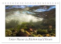 Unter Wasser in Bächen und Flüssen (Tischkalender 2024 DIN A5 quer), CALVENDO Monatskalender - Martin Sczyrba