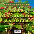 Cover-Bild zum Titel 'Rosa e la Calabria "Saudita"' von 'Enrico Bernard'