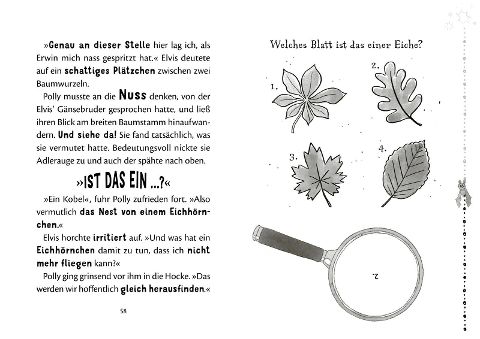 InsideView 4