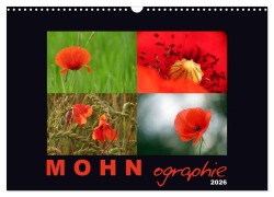 Cover-Bild zum Titel 'MOHNographie (Wandkalender 2026 DIN A3 quer), CALVENDO Monatskalender' von 'Angelika Giessl'