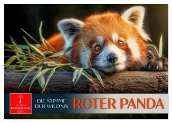 Cover-Bild zum Titel 'Roter Panda - die Stimme der Wildnis (Wandkalender 2026 DIN A2 quer), CALVENDO Monatskalender' von 'Peter Roder'