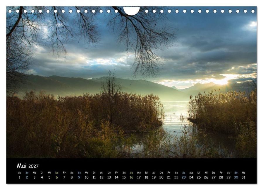 InsideView 10
