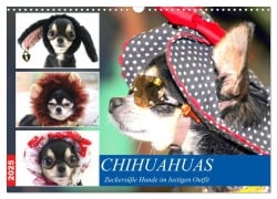 Chihuahuas. Zuckersüße Hunde im lustigen Outfit (Wandkalender 2025 DIN A3 quer), CALVENDO Monatskalender - Rose Hurley