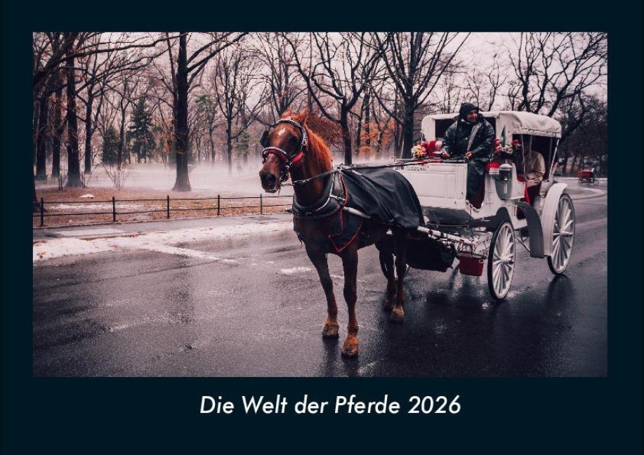 Die Welt der Pferde 2026 Fotokalender DIN A4 - Tobias Becker