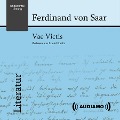Cover-Bild zum Titel 'Vae Victis' von 'Ferdinand Von Saar'