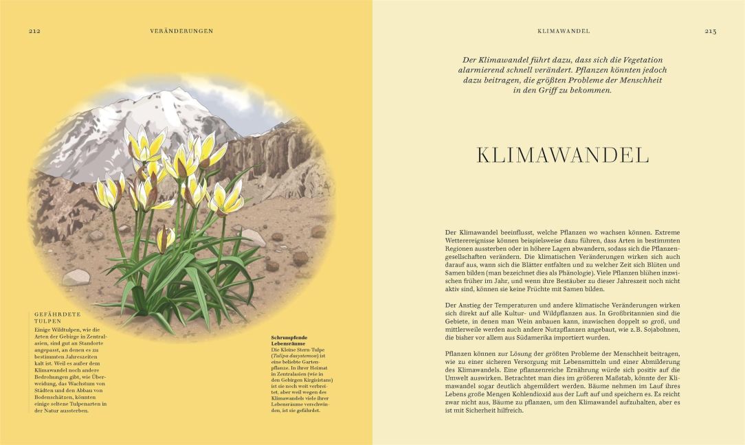 InsideView 8