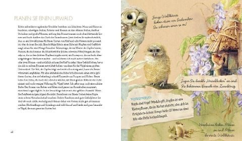 InsideView 11