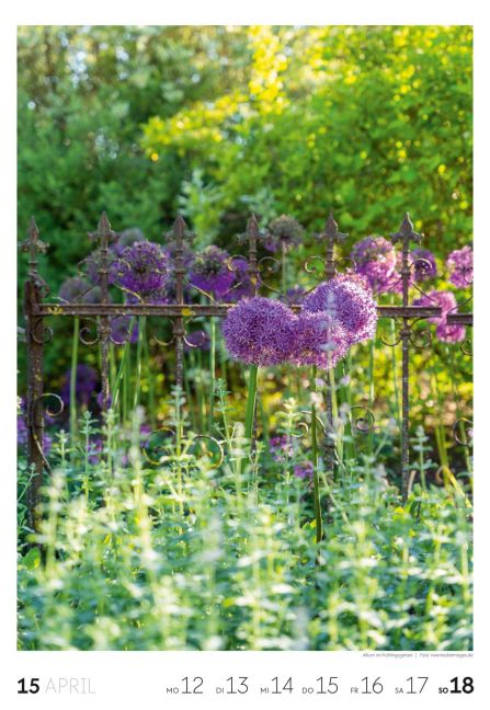 InsideView 16